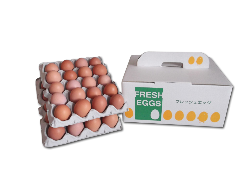 tamago-pack02